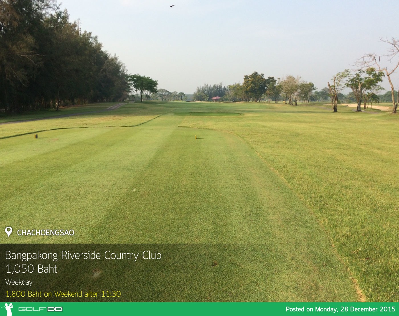 Bangpakong Riverside Country Club News สนามกอล์ฟ บางปะกง ริเวอร์ไซด์ คันทรี คลับ