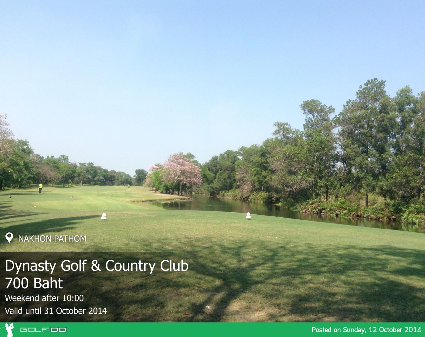 Dynasty Golf & Country Club News สนามกอล์ฟ ไดนาสตี้ กอล์ฟ แอนด์ คันทรี คลับ