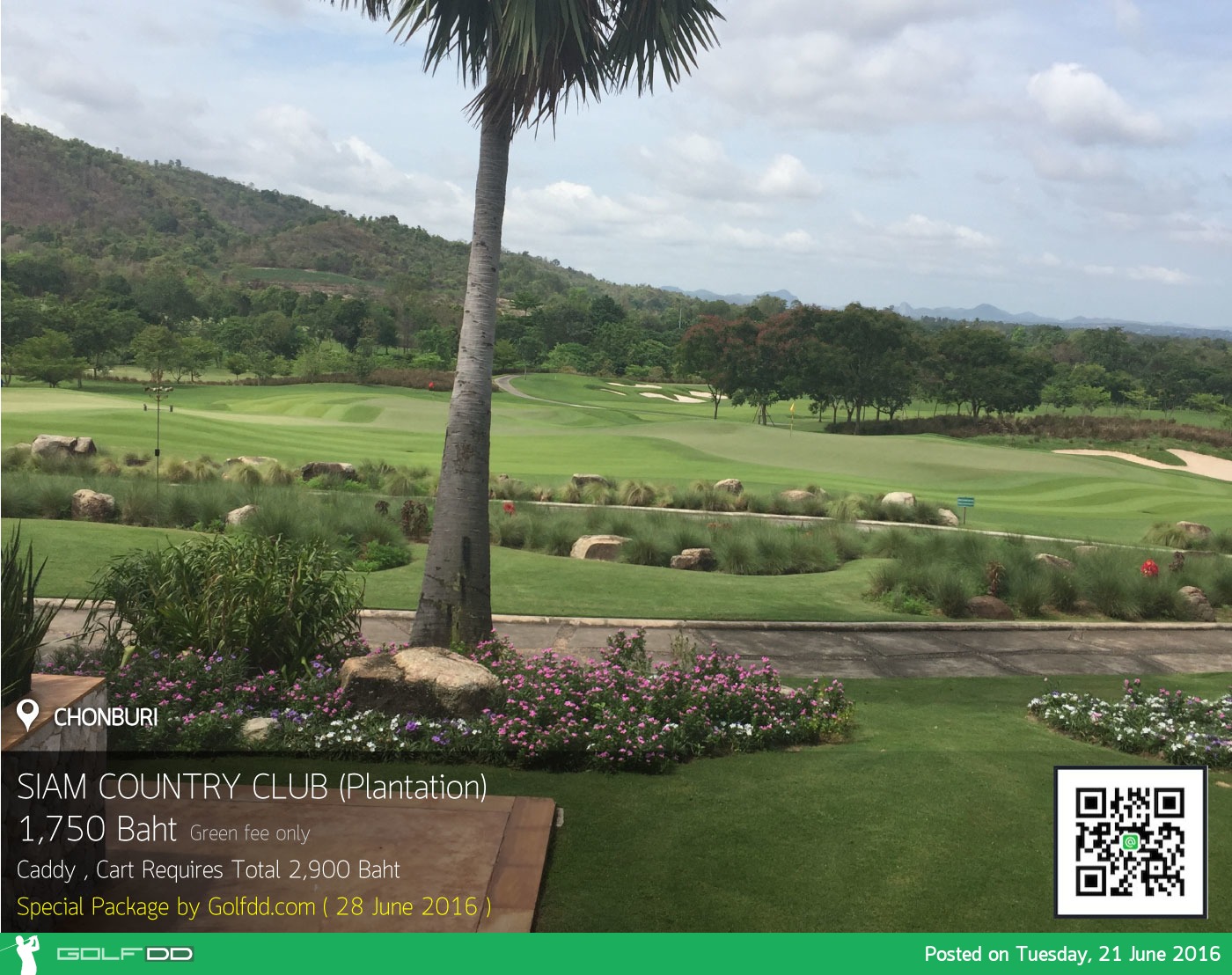 Siam Country Club Pattaya Plantation News สนามกอล์ฟ สยาม คันทรี คลับ พัทยา แพลนเทชั่น